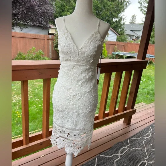 astr bodycon dress ASTR The Label | Allura Peekaboo Lace Midi Dress in Black main image 1